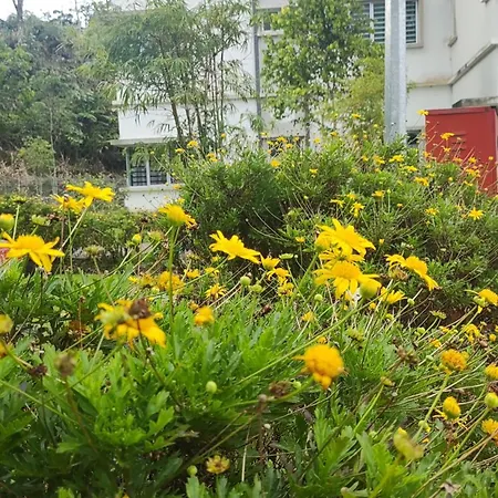 A One Holiday Apartment Tanah Rata Exterior photo